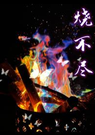 烧不尽简介