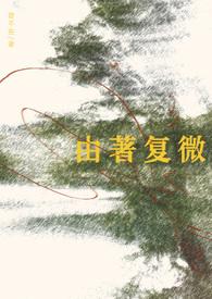 由著复微乱佳音