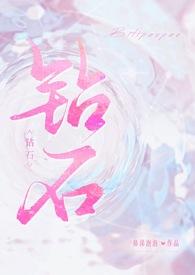 钻石by在线阅读