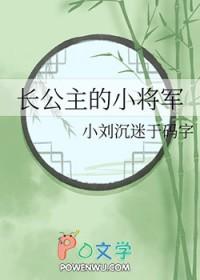 长公主的小将军徐然全文阅读