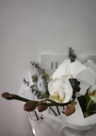 我的未婚妻不是人