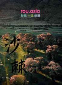 沙棘汁的功效作用与主治