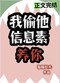 信息素偷盗指南完整版