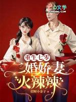 重生七零年代二婚妻免费阅读