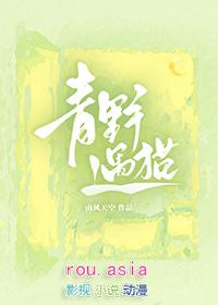 青野遇猫txt