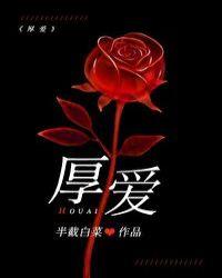 厚爱与关照是一个意思吗