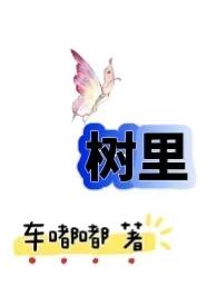 从农村包围城市(H) 作者车嘟嘟