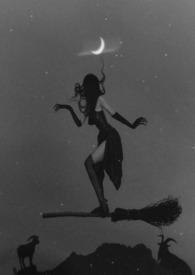 大魔法师是雄子?[星际