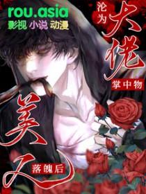 美人落魄后沦为大佬掌中物po