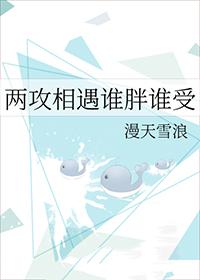 两攻相遇谁胖谁受作者漫天雪浪免费