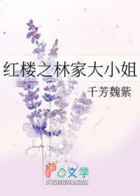 红楼穿越林家大姐
