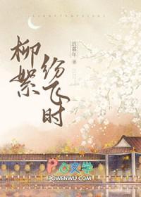 柳絮纷飞歌词