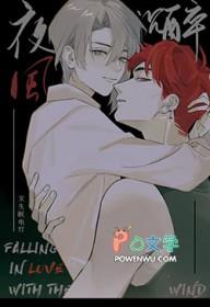 夜风沉醉全集观看