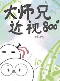 大师兄他近视八百度 作者止风禾