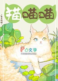 捡到流浪猫第一时间该怎么办