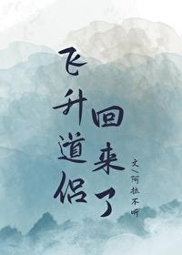 飞升多年的道侣回来了内容
