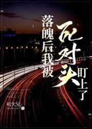 落魄后我被死对头盯上了讲什么
