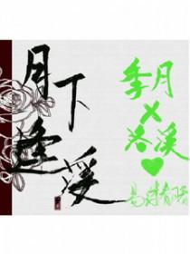 月下奇逢 电影
