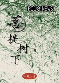 菩提树下主演