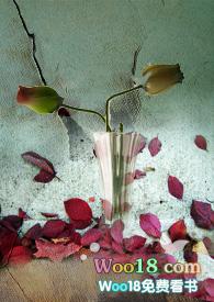 养父的花样年华演员表