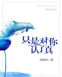 只是对你认了真番外