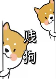贱狗的规矩