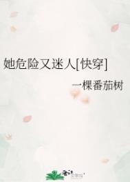 她危险又迷人免费阅读