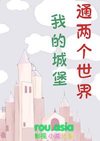 我的世界城堡教学