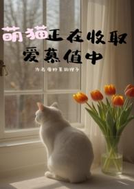 萌猫正在收取爱慕之中