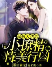 偏执大佬小娇妻