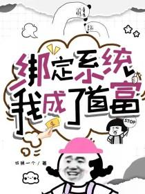 我成了首富 作者饭桶