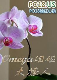omega姐姐太擦人(百合abo)