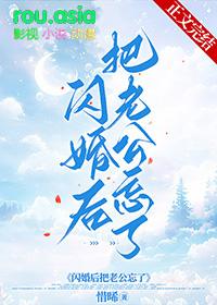 闪婚后把老公忘了心淡