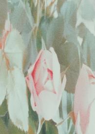 谁来拯救我的意思