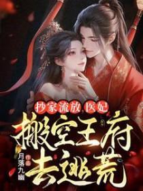 抄家流放医妃搬空王府去逃荒去逃荒