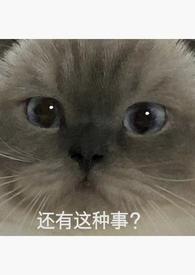 重生回强上男主的后一天 棠月