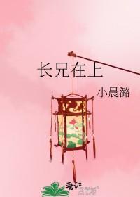兄长 在上
