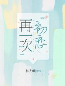 再一次初恋林光曦