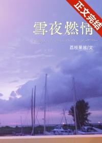 雪夜abo