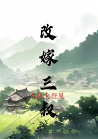 改嫁三叔八级大狂风大结局