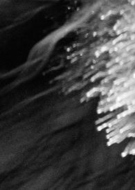 黑色玛丽亚实力