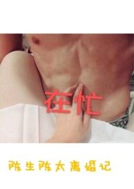 陈生陈太离婚记作者剪我玫瑰讲的什