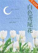 白色鸢尾花怎么养