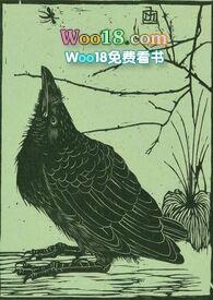 空壳婚姻终结