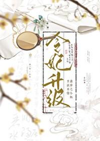 清穿令贵妃升职记