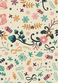 叶子集中在顶端