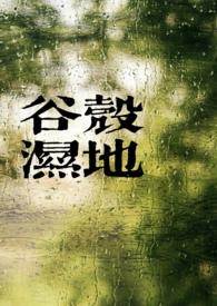 谷壳宝是真是假的
