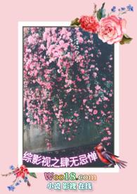 综影视之溪