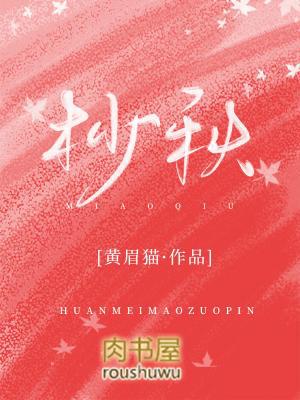 杪秋 黄眉猫