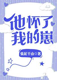 他怀了我的孩子by弦起千山百
